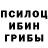Галлюциногенные грибы мухоморы David Potter