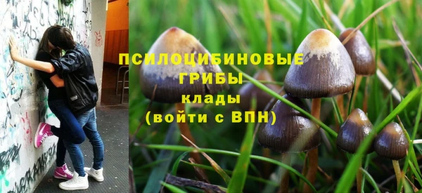 эйфоретик Тутаев